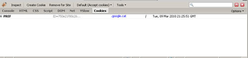 firecookie.jpg